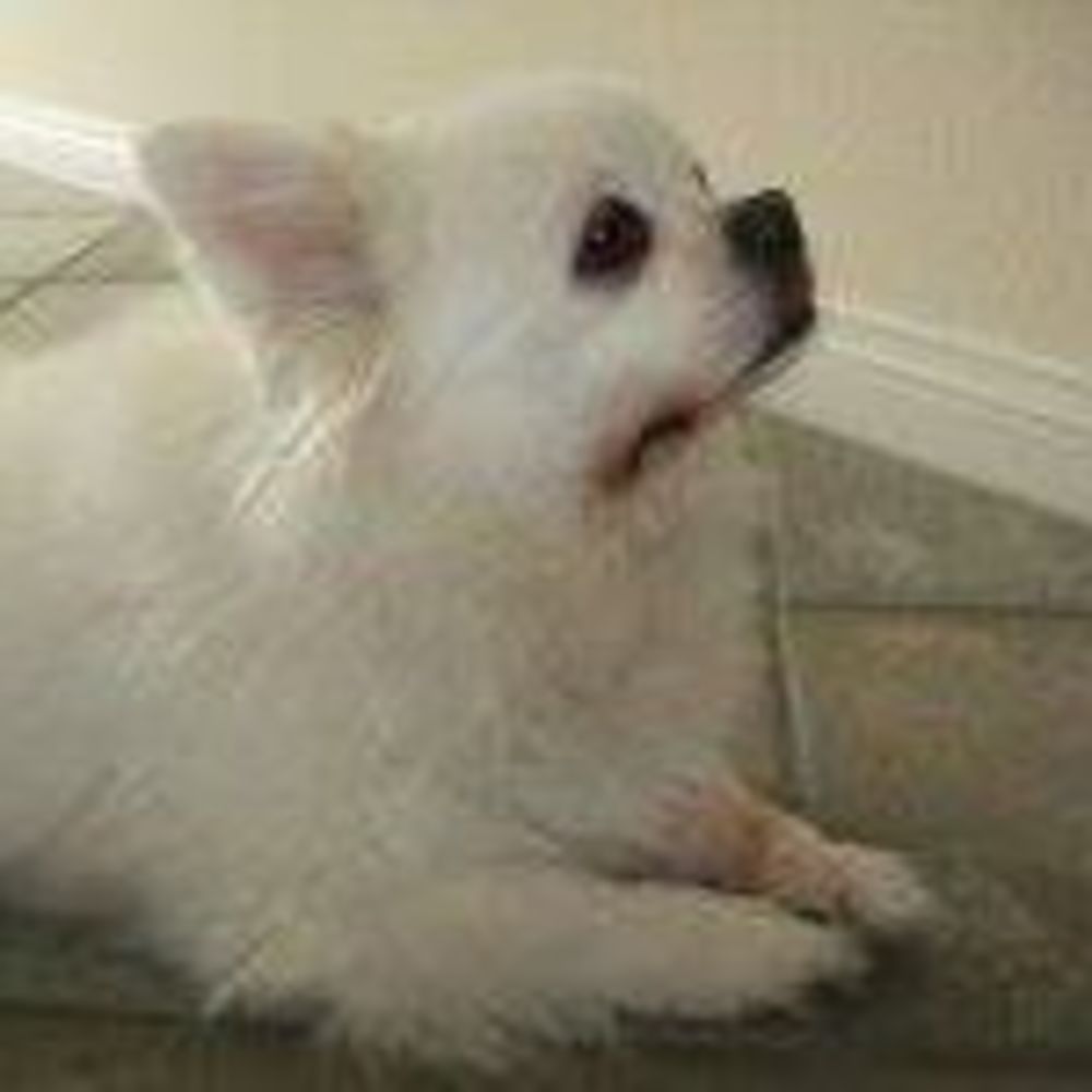 Meet your Posher, Danh